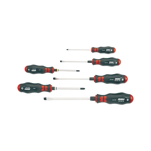 Screwdriver set 6 pieces